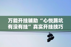 必备教程“红包透视版(免费)”开挂(透视)辅助教程