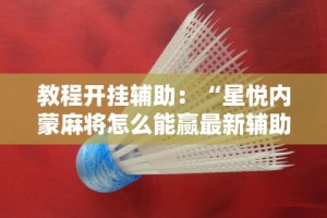 教程开挂辅助：“星悦内蒙麻将怎么能赢最新辅助详细教程