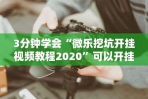 3分钟学会“微乐挖坑开挂视频教程2020”可以开挂作弊