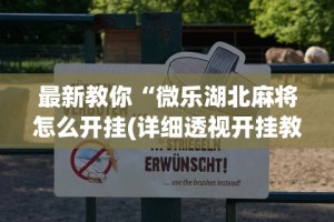 最新教你“微乐湖北麻将怎么开挂(详细透视开挂教程)