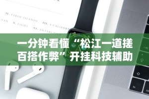 一分钟看懂“松江一道搓百搭作弊”开挂科技辅助神器手机
