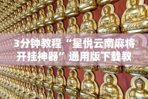 【独家发现】“中至吉安王炸开挂神器”开挂辅助脚本+详细开挂