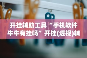 开挂辅助工具“手机软件牛牛有挂吗”开挂(透视)辅助神器