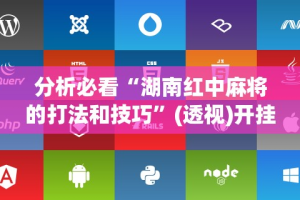 分析必看“湖南红中麻将的打法和技巧”(透视)开挂辅助脚本+详细开挂安装教程