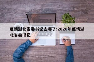 疫情湖北省委书记去哪了:2020年疫情湖北省委书记
