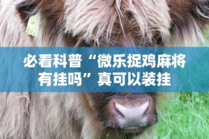 辅助盘点“蛮王大厅有透视吗”其实有开挂插件!