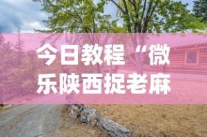 今日教程“微乐陕西捉老麻子技巧”(太坑了果然有挂)