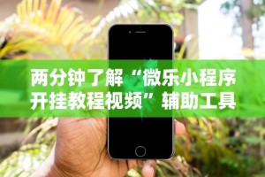 两分钟了解“微乐小程序开挂教程视频”辅助工具插件,揭秘技巧开挂