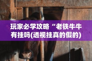 玩家必学攻略“老铁牛牛有挂吗(透视挂真的假的)