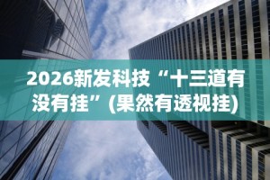 2026新发科技“十三道有没有挂”(果然有透视挂)