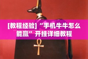 开挂辅助工具“微乐宁夏开挂下载安装免费下载”(原来确实是有挂)