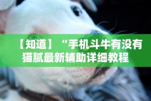 【知道】“手机斗牛有没有猫腻最新辅助详细教程