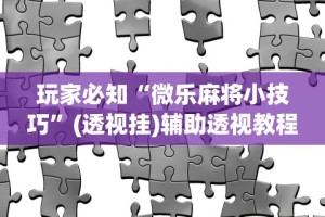 今日必看教程“友友麻将小程序万能开挂器(透视)”开挂(透视)辅助教程