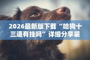 [推荐]“智星德州菠萝透视插件工具”开挂神器{透视辅助}全揭秘