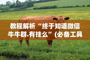 教程解析“终于知道微信牛牛群.有挂么”(必备工具)辅助教学