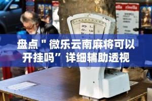[教程经验]“微乐陕西挖坑有挂吗”(原来确实是有插件)