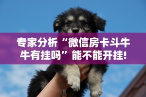 玩家必知“wepoker透视脚本免费”开挂辅助脚本+详细