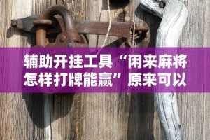 辅助开挂神器“微乐跑胡子辅助器(无需付费)”开挂(透视)辅助教程