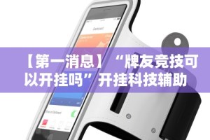 教程开挂辅助“微乐填大坑有没有挂？”揭秘透视辅助万能挂用法
