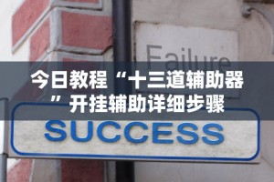 今日教程“十三道辅助器”开挂辅助详细步骤
