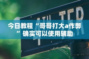 今日教程“哥哥打大a作弊”确实可以使用辅助