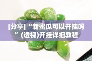 [分享]“新蜜瓜可以开挂吗”(透视)开挂详细教程