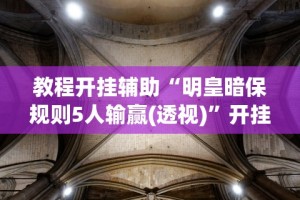 教程开挂辅助“明皇暗保规则5人输赢(透视)”开挂(透视)辅助教程