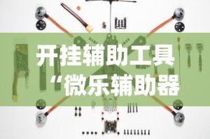 开挂辅助工具“微乐辅助器下载”(透视)其实确实有挂