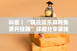 科普｜“嗨玩娱乐麻将免费开挂器”详细分享装挂步骤