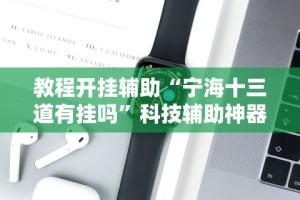 教程开挂辅助“宁海十三道有挂吗”科技辅助神器手机版教程