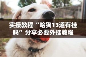 实操教程“哈狗13道有挂吗”分享必要外挂教程