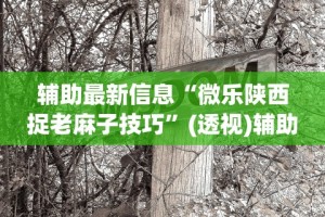 辅助最新信息“微乐陕西捉老麻子技巧”(透视)辅助透视教程