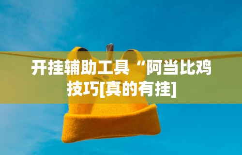 必备教程“十三张辅助器ios”详细外挂辅助详细教程