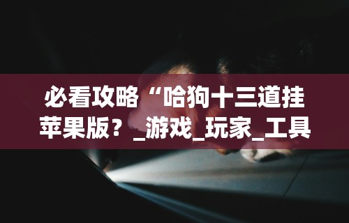 必看攻略“哈狗十三道挂苹果版？_游戏_玩家_工具