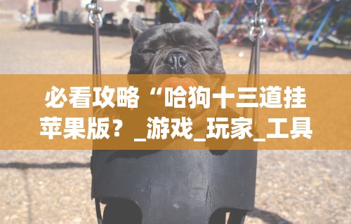 必看攻略“哈狗十三道挂苹果版？_游戏_玩家_工具