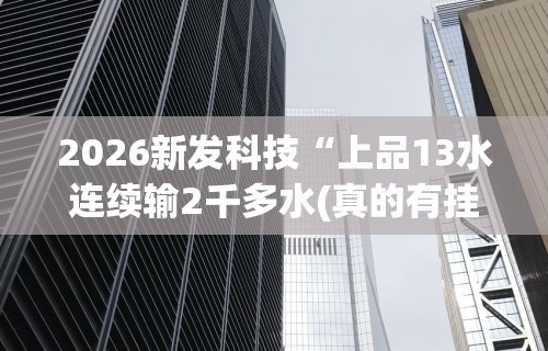 2026新发科技“上品13水连续输2千多水(真的有挂)