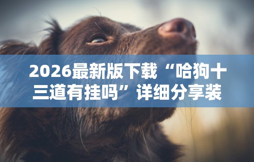 2026最新版下载“哈狗十三道有挂吗”详细分享装挂步骤