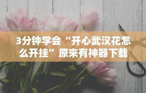 3分钟学会“开心武汉花怎么开挂”原来有神器下载！