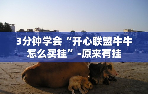 3分钟学会“开心联盟牛牛怎么买挂”-原来有挂