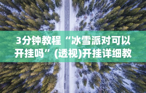 3分钟教程“冰雪派对可以开挂吗”(透视)开挂详细教程