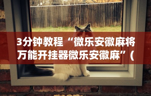 3分钟教程“微乐安徽麻将万能开挂器微乐安徽麻”(曝光透视必备猫腻)