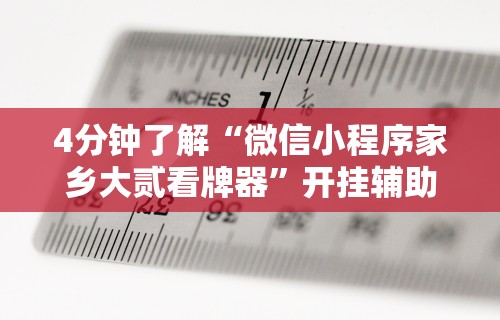 4分钟了解“微信小程序家乡大贰看牌器”开挂辅助软件教程