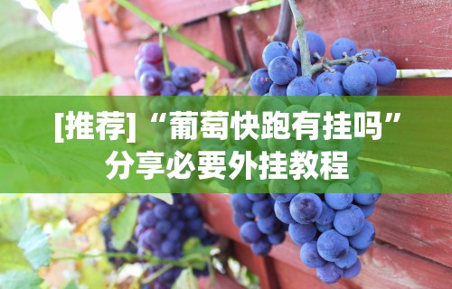 [推荐]“葡萄快跑有挂吗”分享必要外挂教程