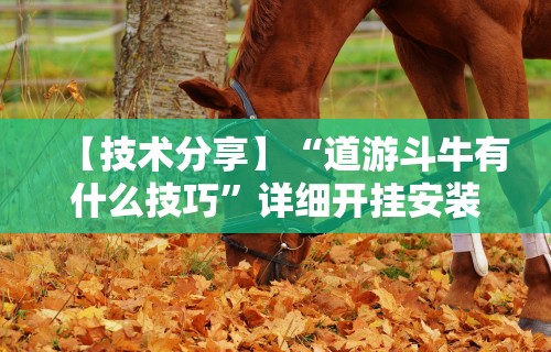【技术分享】“道游斗牛有什么技巧”详细开挂安装教程