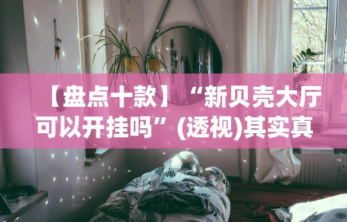 【盘点十款】“新贝壳大厅可以开挂吗”(透视)其实真的有挂