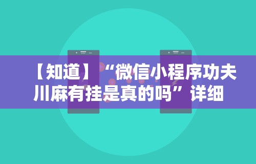 【知道】“微信小程序功夫川麻有挂是真的吗”详细辅助软件教程