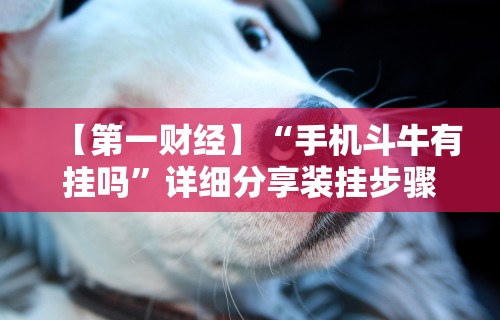 【第一财经】“老铁联盟开挂步骤”(曝光透视必备猫腻)