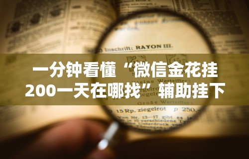 一分钟看懂“微信金花挂200一天在哪找”辅助挂下载