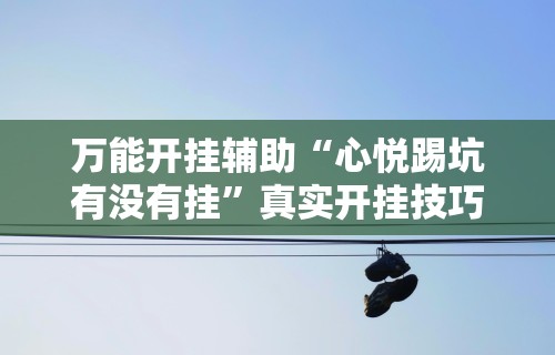 万能开挂辅助“心悦踢坑有没有挂”真实开挂技巧分享