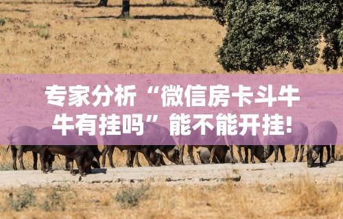 专家分析“微信房卡斗牛牛有挂吗”能不能开挂!